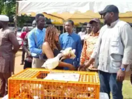 GloMeF urges review of ‘Nkoko Nketenkete’ initiative for optimum benefit 