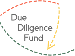 Due Diligence Fund (up to EUR 250,000)