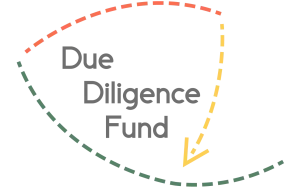 Due Diligence Fund (up to EUR 250,000)