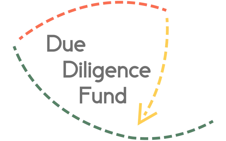 Due Diligence Fund (up to EUR 250,000)