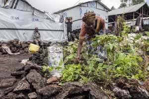Today, nearly one in four Congolese are struggling to meet their basic food needs.©FAO/Alessandra Benedetti