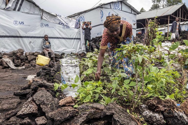 Today, nearly one in four Congolese are struggling to meet their basic food needs. ©FAO/Alessandra Benedetti
