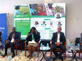 A panel discussion in progress at FAO’s Zim–Moza ATDP side event during ZITF 2026, focusing on formal cross‑border trade, compliance and investment.