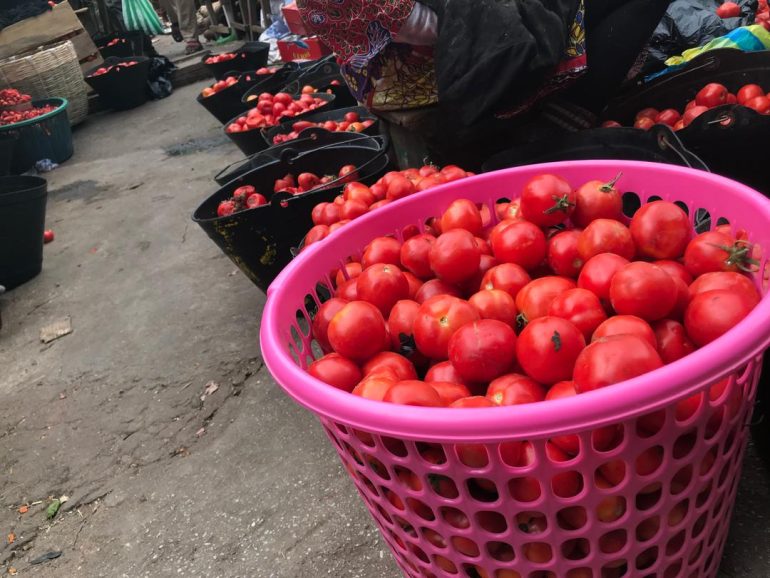 Kumasi traders appeal for investment in Ghana’s tomato industry