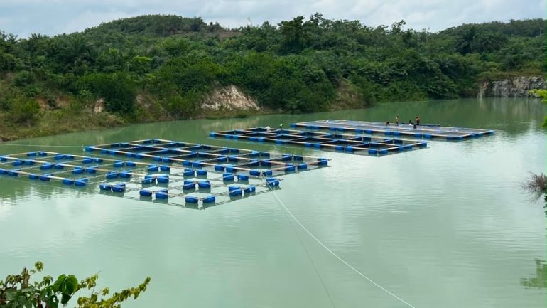 Government backs initiative to convert abandoned quarry pits into fish farms