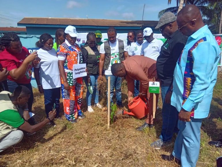 Forestry Commission to plant three million trees in Ashanti Region