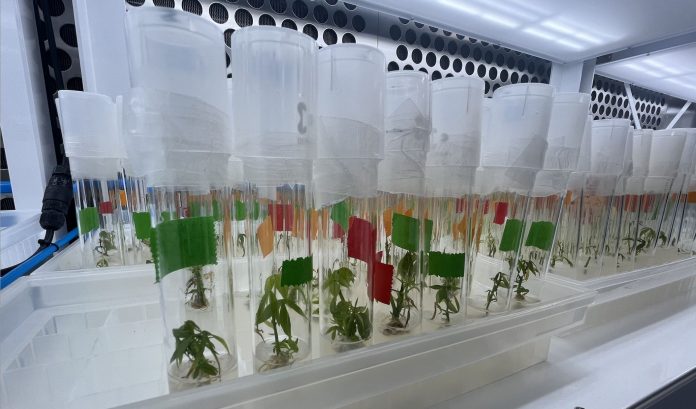 Science Crop Technologies 1
