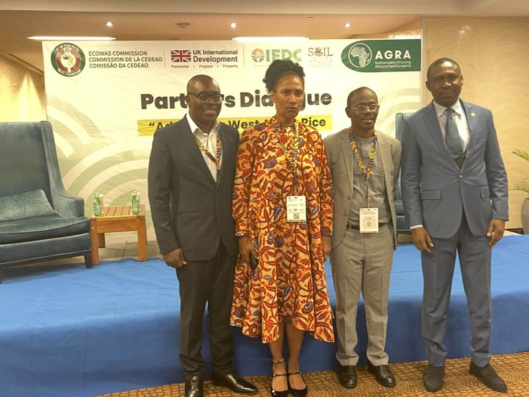 AGRA calls for coordinated financing to unlock West Africa’s rice potential