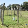 Climate resilience: Farmers in Northern Ghana introduced to Germination Index Insurance 