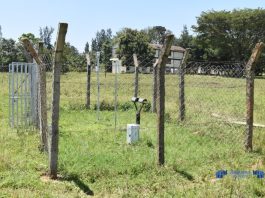 Climate resilience: Farmers in Northern Ghana introduced to Germination Index Insurance 