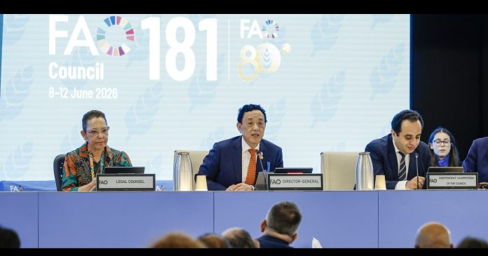 FAO Director-General QU Dongyu opened the 181st Session of the FAO Council, noting recommendations for countries to address the impacts of the Strait of Hormuz crisis, particularly the urgent need for efficient fertilizer use as global agrifood systems face unprecedented challenges. ©FAO/Giuseppe Carotenuto