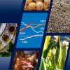 FAO Food Outlook ©FAO