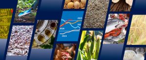 FAO Food Outlook©FAO