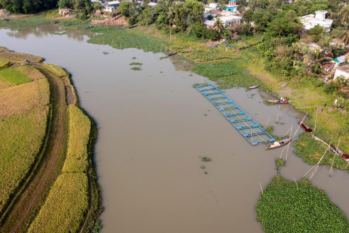 Fish farmers harvest fish from floating cages in Nasirnagar, Bangladesh, under a GEF-supported project implemented by FAO and the Government. ©FAO/Saikat Mojumder