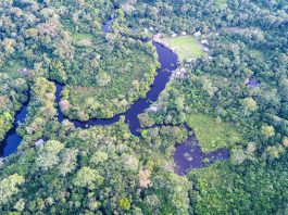 The SEPAL platform provides instant access to Earth observation data and advanced processing tools, enabling countries to detect change, track deforestation and support restoration efforts. ©FAO/Guillermo Carlos