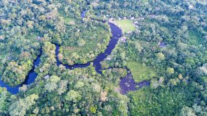 The SEPAL platform provides instant access to Earth observation data and advanced processing tools, enabling countries to detect change, track deforestation and support restoration efforts.©FAO/Guillermo Carlos