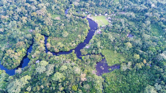 The SEPAL platform provides instant access to Earth observation data and advanced processing tools, enabling countries to detect change, track deforestation and support restoration efforts. ©FAO/Guillermo Carlos