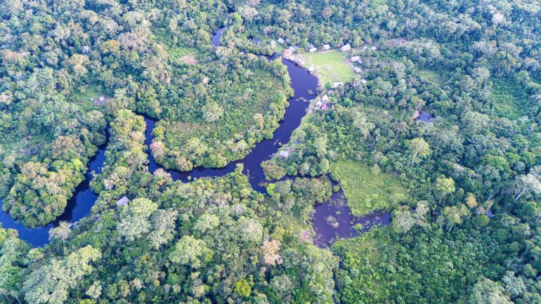 The SEPAL platform provides instant access to Earth observation data and advanced processing tools, enabling countries to detect change, track deforestation and support restoration efforts. ©FAO/Guillermo Carlos