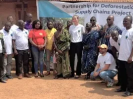 Fairtrade Africa Network rolls out farmer-led cocoa rehabilitation model to boost yields and curb deforestation