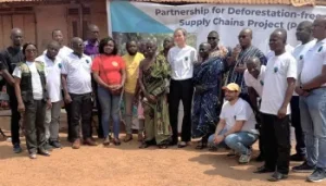 Fairtrade Africa Network rolls out farmer-led cocoa rehabilitation model to boost yields and curb deforestation