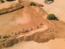 FAO, WFP launch $202 million appeal for early action in 22 El Niño hotspots Aerial view of community members taking part in FAO's cash-for-work initiative to rehabilitate a communal water catchment, strengthening local water access and resilience in Galka’ayo, Galmudug State, Somalia. ©FAO / Arete/Ali Adan