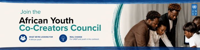 UNDP African Youth Co-Creators Council