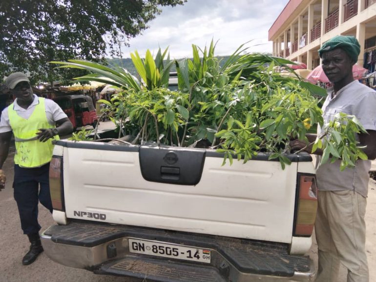 Oti Farmers to benefit from drought-resistant seedlings under agroforestry initiative
