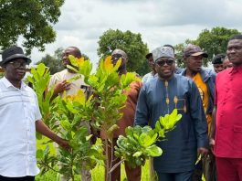 Climate Minister assesses cashew project’s contribution to climate resilience
