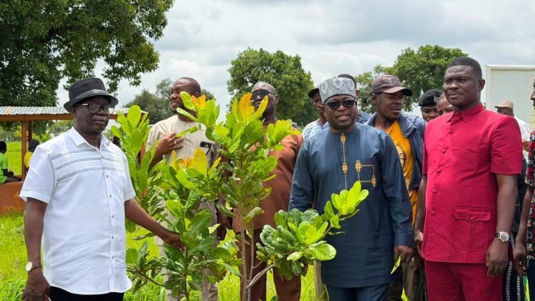 Climate Minister assesses cashew project’s contribution to climate resilience