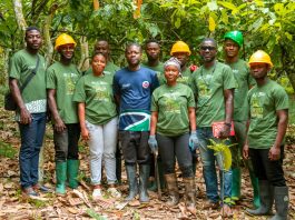 Tree-PET uses personal stories to drive agroforestry