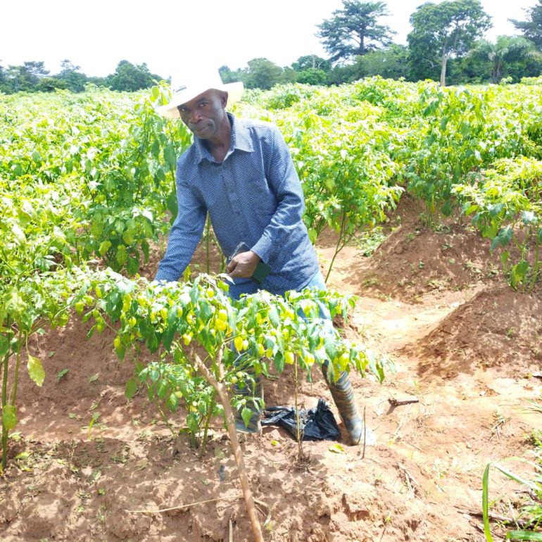 2025 Best Farmer urges revamping defunct Tanoso Irrigation Dam in Bono East