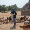 Goats and sheep are vaccinated in South Sudan against peste des petits ruminants. ©FAO/Mayak Akuot