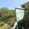Achimota Forest