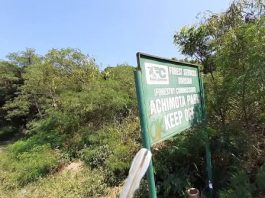 Achimota Forest