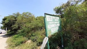 Achimota Forest