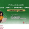 AU CIEFFA & ImpactHER Online Capacity Building Training (Fully-Funded)