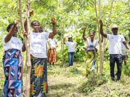 Farmers engaged in restoring coastal ecosystems in Togo, proud of the results achieved through sustainable practices that improve their incomes and strengthen the resilience of their communities to the impacts of climate change. ©FAO/Kokou Dogbo