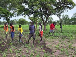 OECD-FAO Outlook projects 9% rise in global farm incomes by 2035 Farmers in South Sudan. ©FAO/Akuot Mayak