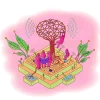 Seed, Grow and Sustain 3.0