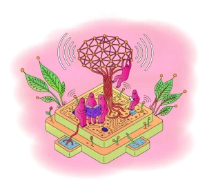 Seed, Grow and Sustain 3.0 