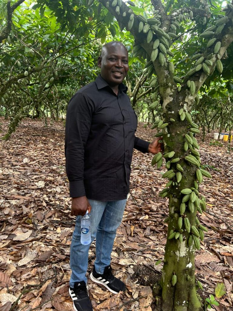 Central Region gets COCOBOD directorship to drive cocoa production