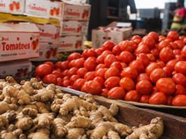 Agricultural research scientists present findings on Ghana’s tomato and ginger production deficits during a MEST visibility webinar. 