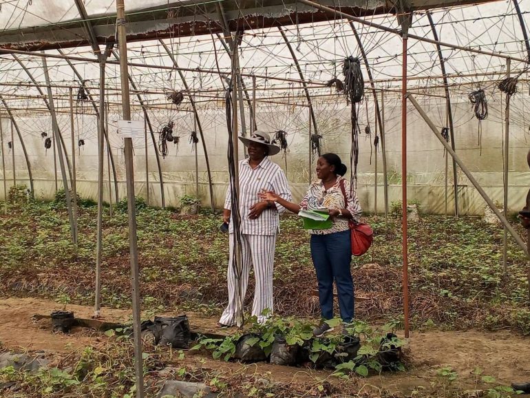 Namibian High Commissioner applauds Maphlix Trust’s agricultural investment