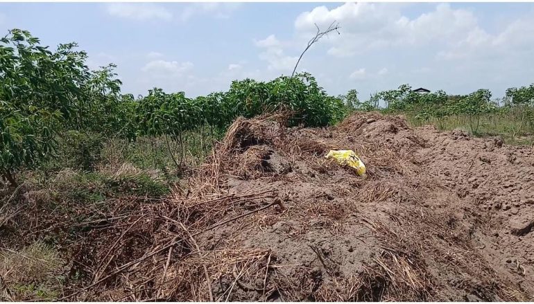 Over 50 acres of farmland destroyed by ssand-Winning at Tsumkpo