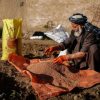 Rising fertilizer prices are putting essential inputs beyond the reach of many Afghan farmers, threatening the country’s 2027 wheat harvest. ©FAO/ Hashim Aziz