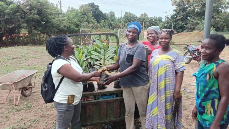 Iseguri Initiative empowers women farmers
