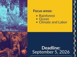 Pulitzer Center IEO Civil Society Microgrants 2026