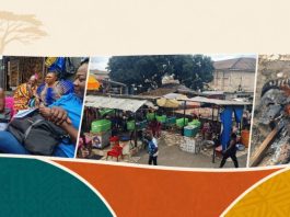 Scenes from bush meat markets in Ghana