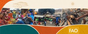 Scenes from bush meat markets in Ghana