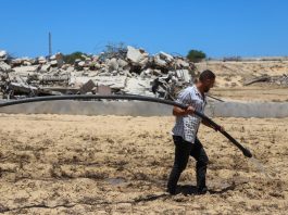 In addition to limited access to land, farmers face critical shortages of seeds, fertilizers, irrigation equipment, fuel and other production materials. ©FAO